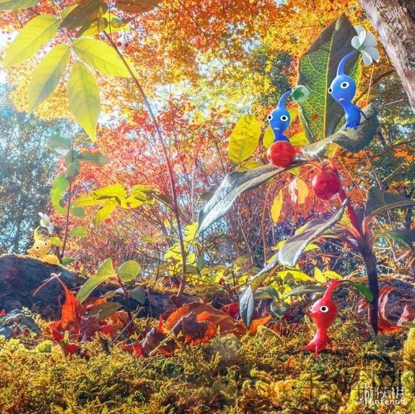 王者荣耀公孙离的技能介绍：探秘王者荣耀：公孙离技能全解析